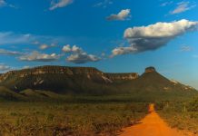 Jalapão: Aventure-se no Cerrado