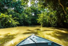 Belém & Ilha de Marajó